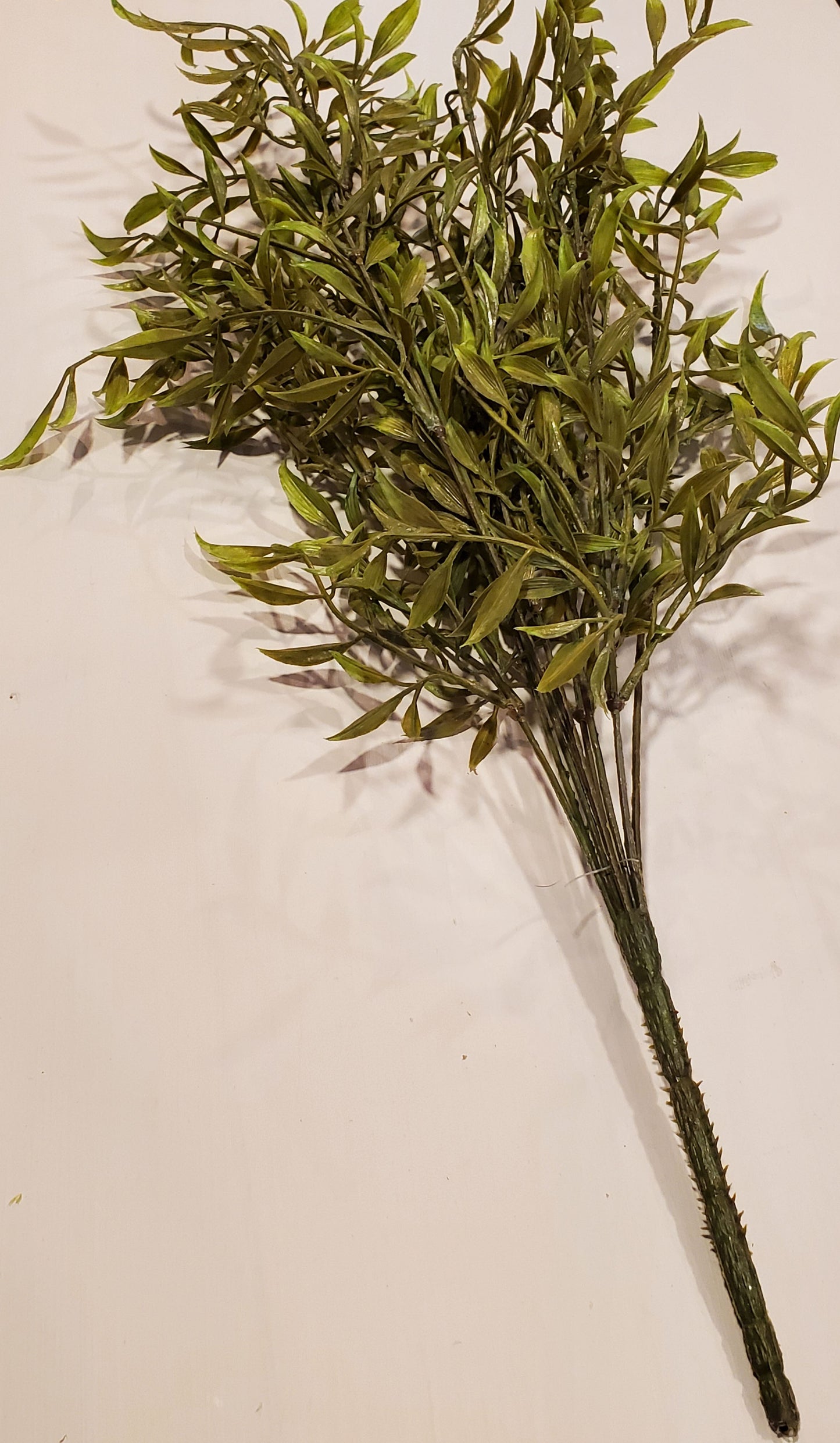 SMILAX STEM
