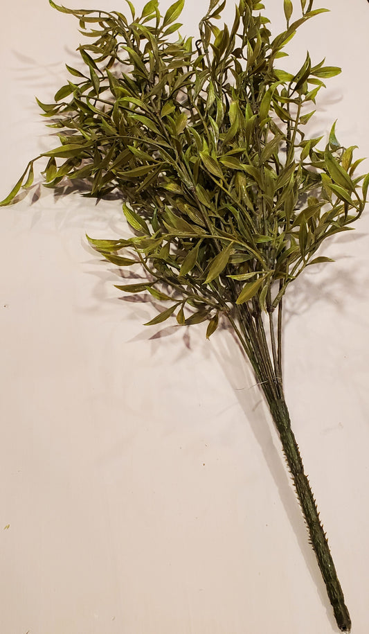 SMILAX STEM