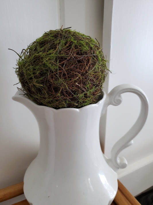Moss Balls
