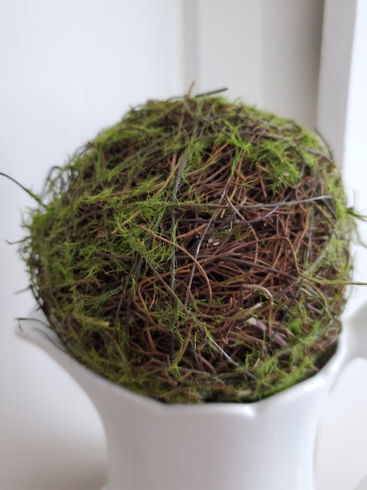 Moss Balls