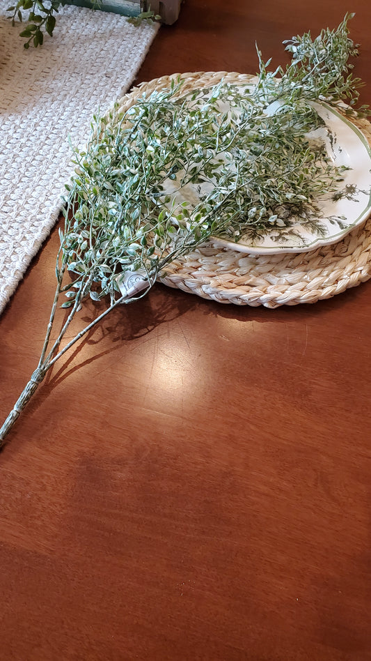 Little Luna Leaves Hanging Bush